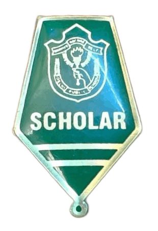 Grade VII Scholar Badge